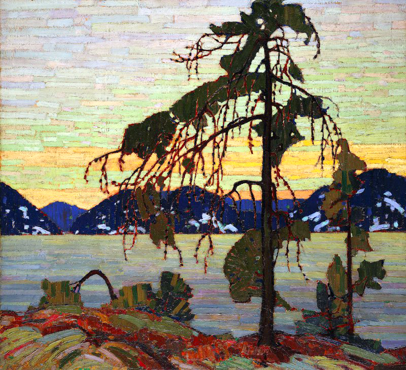 T. Thomson, the jack pine.