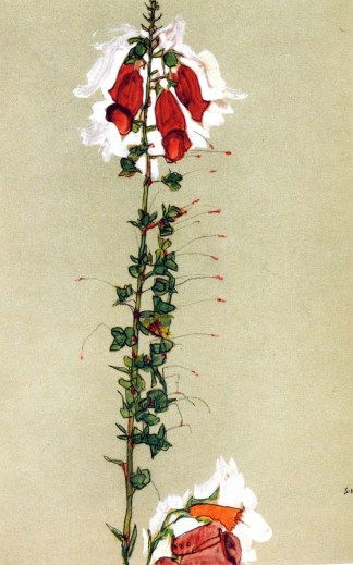 egonschiele fiori