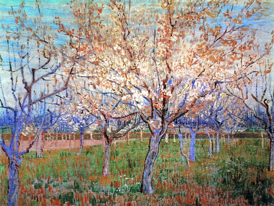 Van-gogh-Albicocchi-in-fiore-primavera