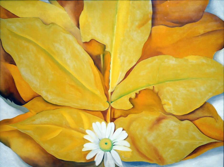 Georgia O'Keeffe quadro fiori img