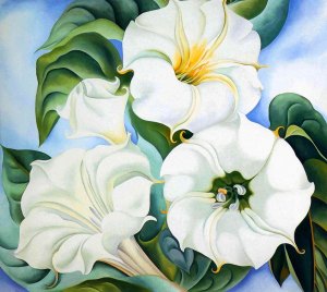 Georgia O'Keeffe stramonio img fiori